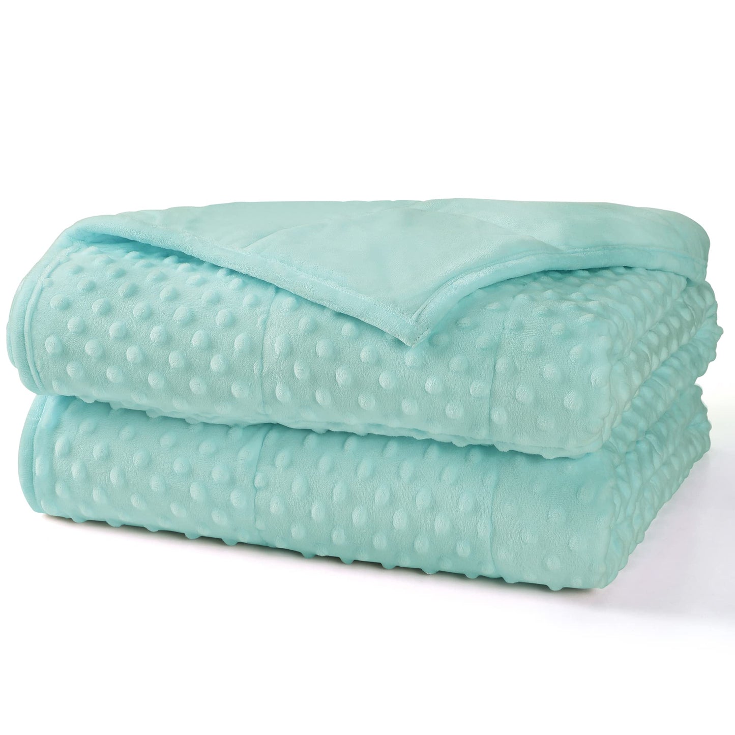 Alomidds Weighted Blanket, Luxury Velvet Weighted Blankets for Kids,Warm and Breathable Soft and Comfort Minky, Cute Heavy Blanket with Premium Glass Beads (41"x60" 7LBS, Purple)