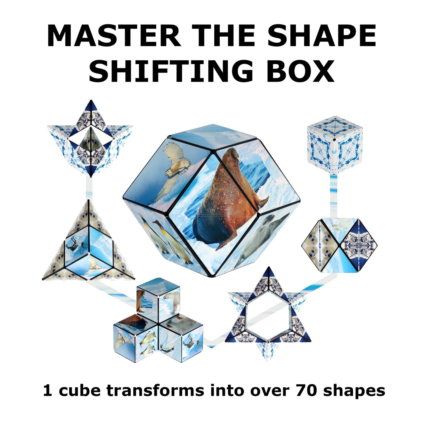 Shashibo Sensory Fidget Toy for Adults & Kids, Stress Relief Fidget Toy for Adults, Teens & Kids, Cool Fidget Toys for Desk, Classroom Must Have, Sensory Shape Shifting Cube, 100+ Possible Shapes